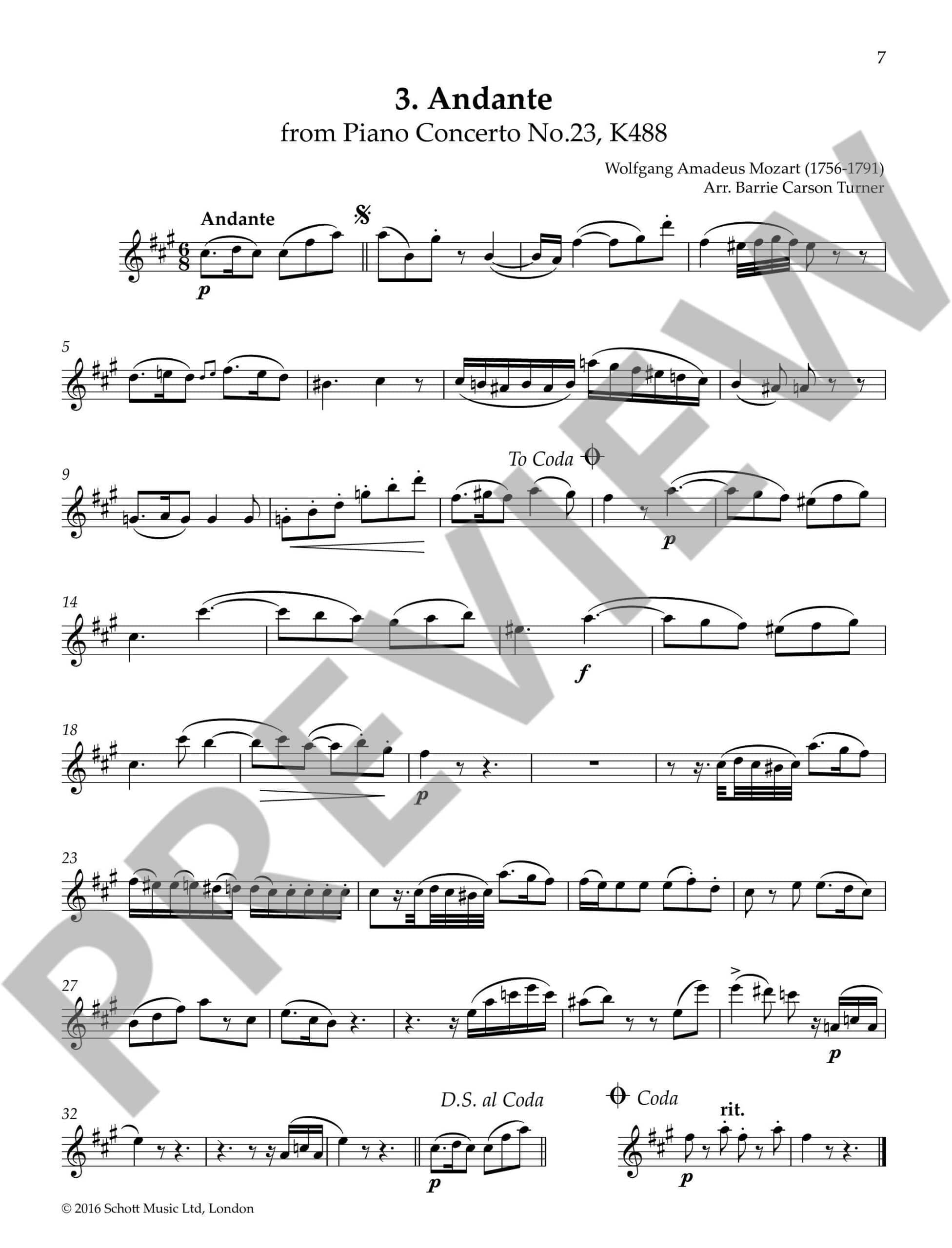 The Flute Playlist - 50 popular classics in easy arrangements (Bok + online material)
